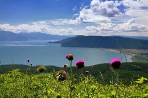 Le lac de Prespa - Vacances Macedoine